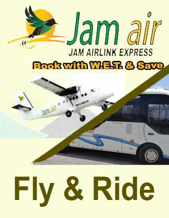 fly-ride.jpg