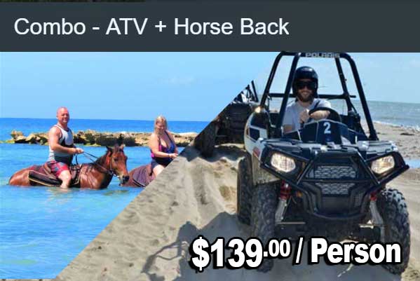 atv horse
