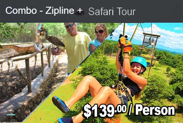 zip n safari